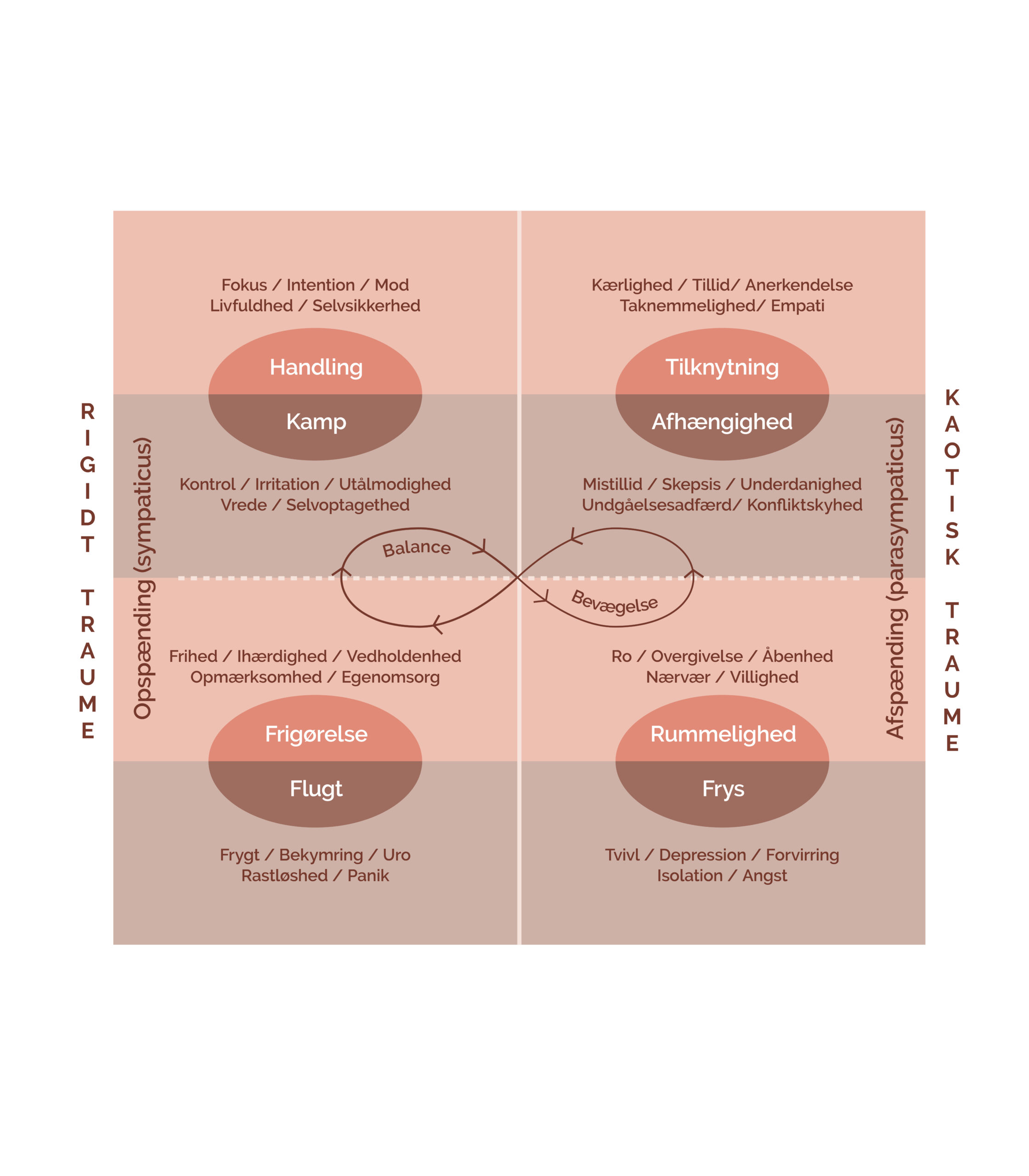 Illustration Autonome Nervesystem