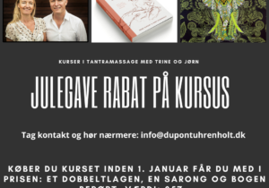 Julegave som rabat på kursus (3)