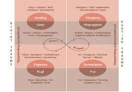 Illustration Autonome Nervesystem